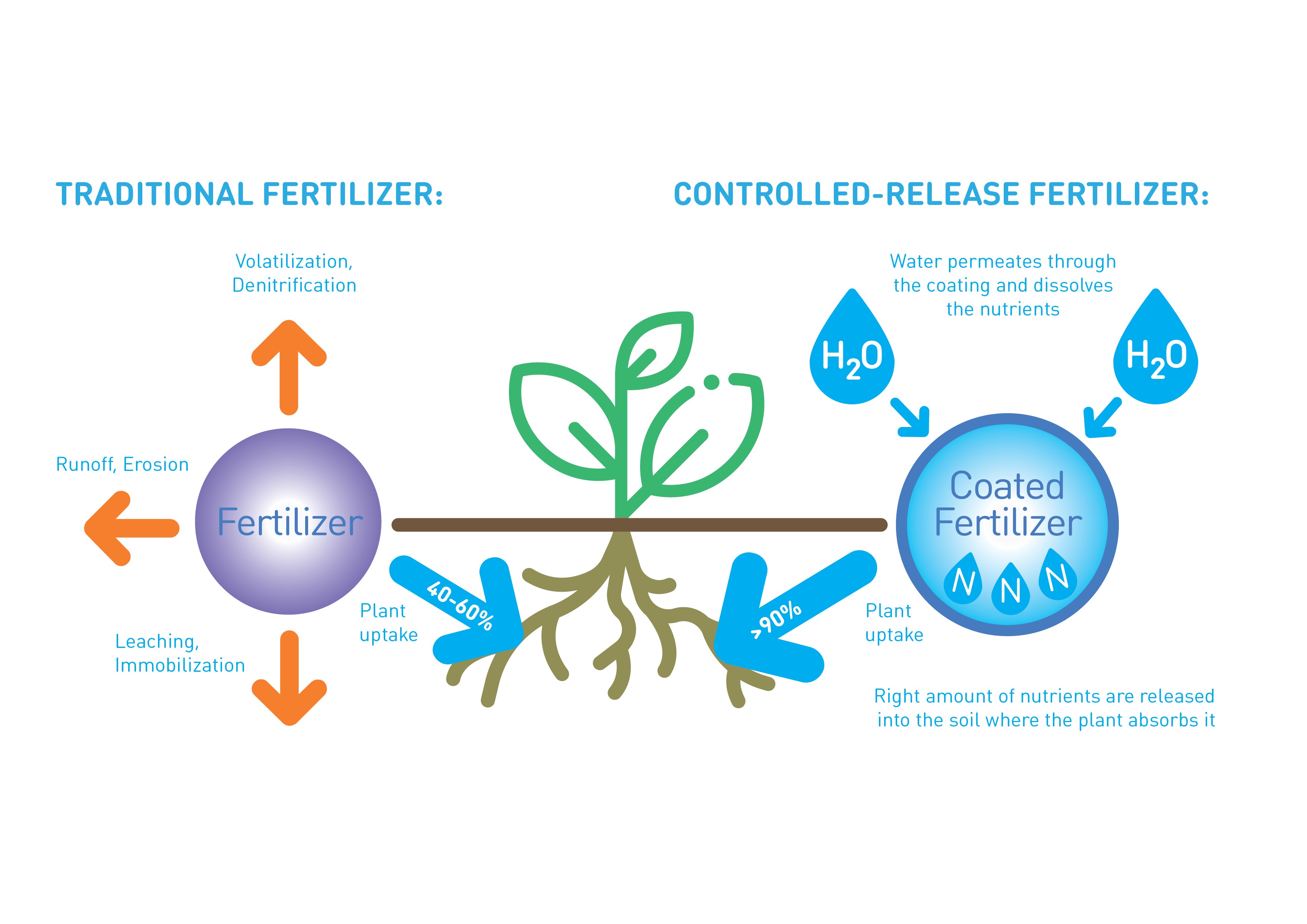 Traditional fertilizer vs. Controlled-release fertilizer