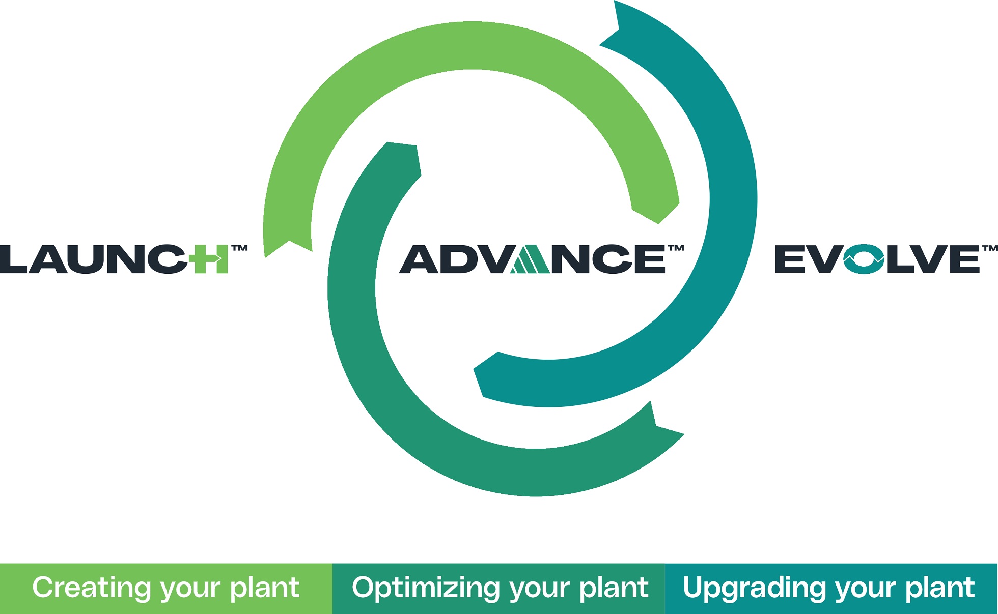 Full life cycle services