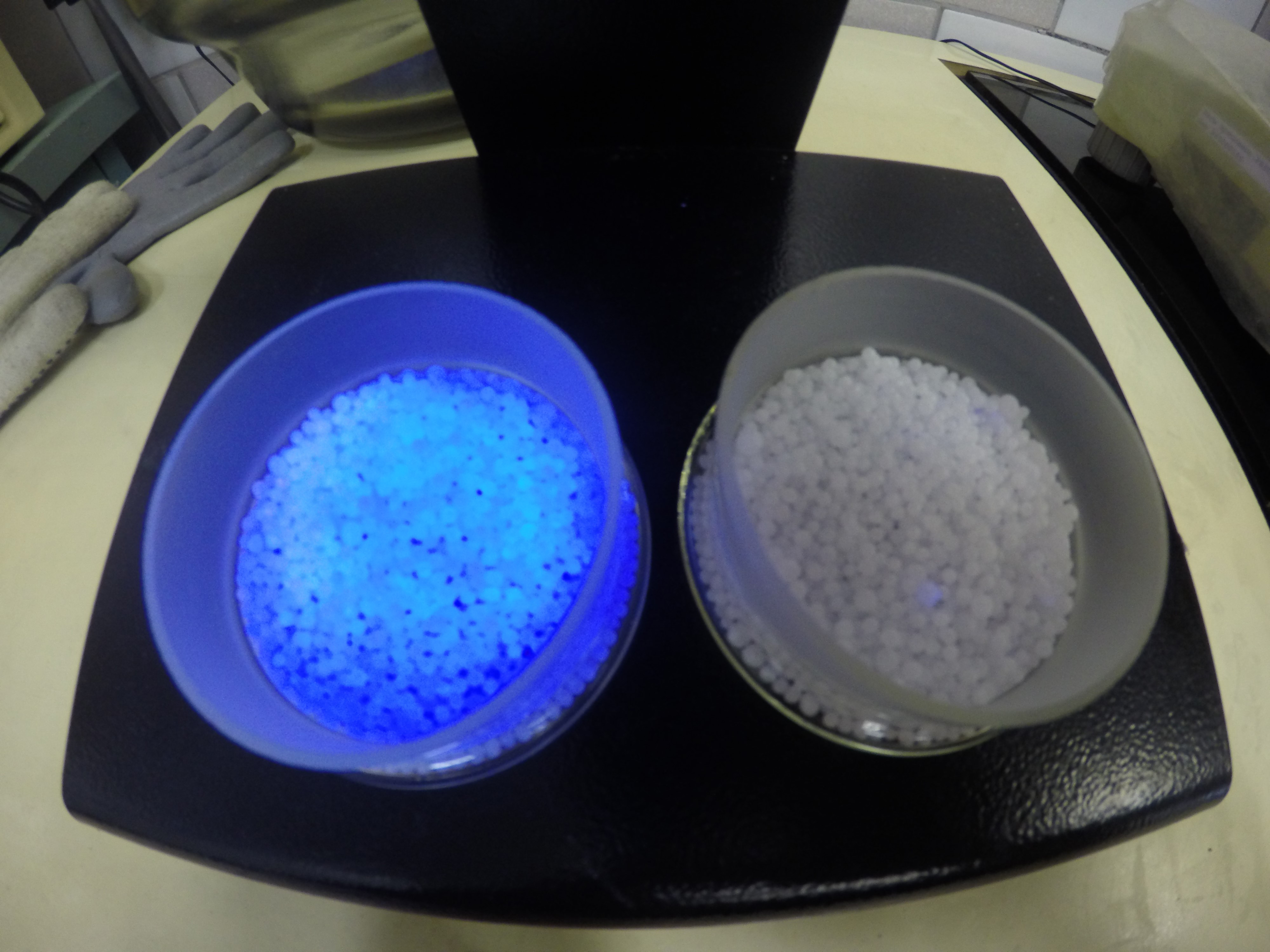 Under UV light coated prills light up blue (left) and uncoated do not (right)