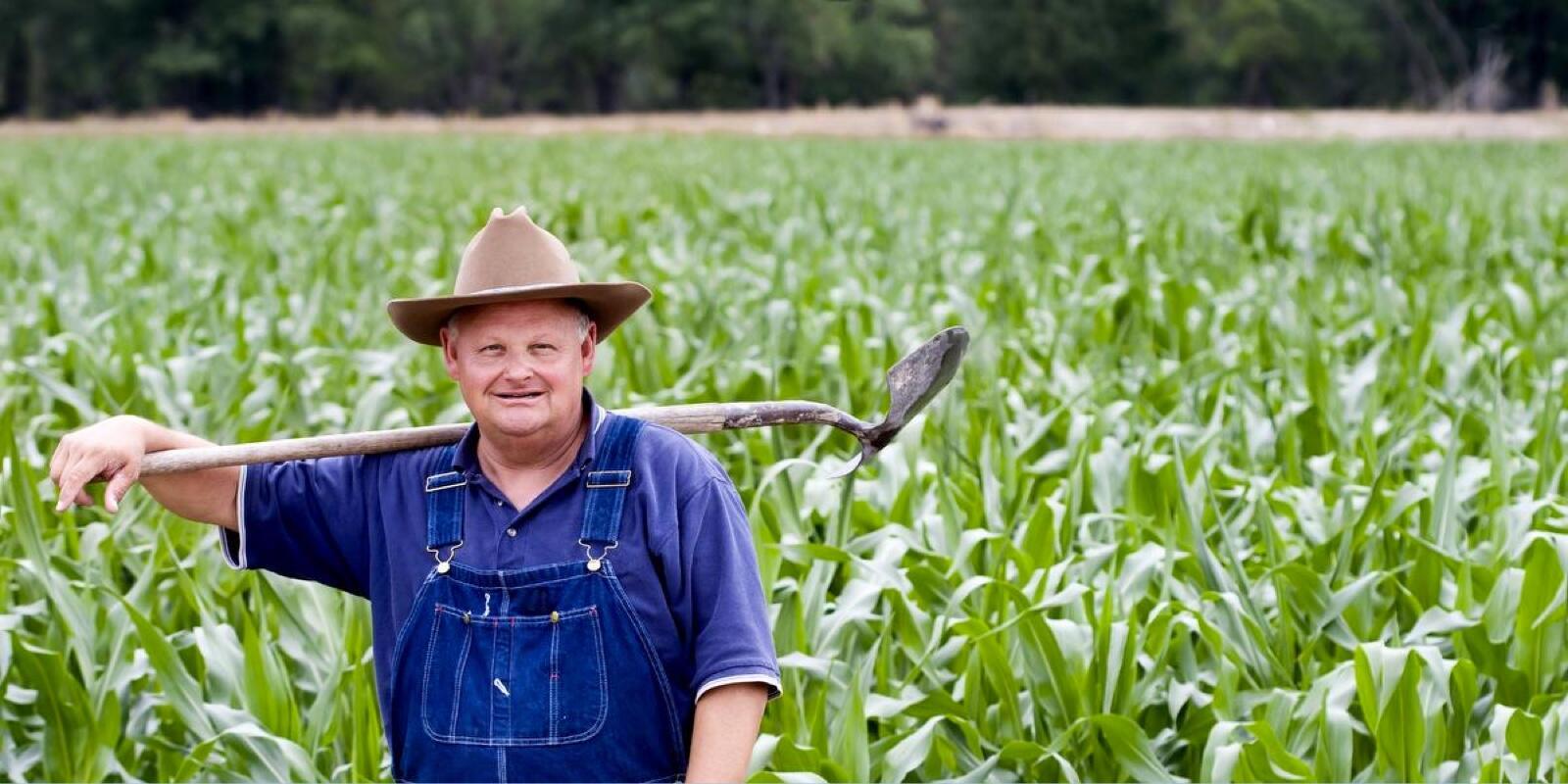 We are feeding the world