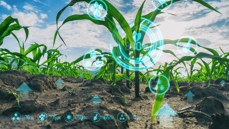 Future of agriculture