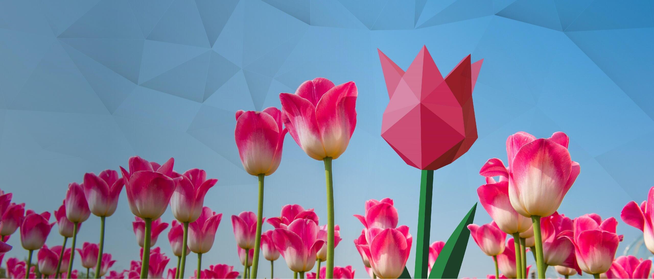 Stamicarbon Symposium-2026- Unfold