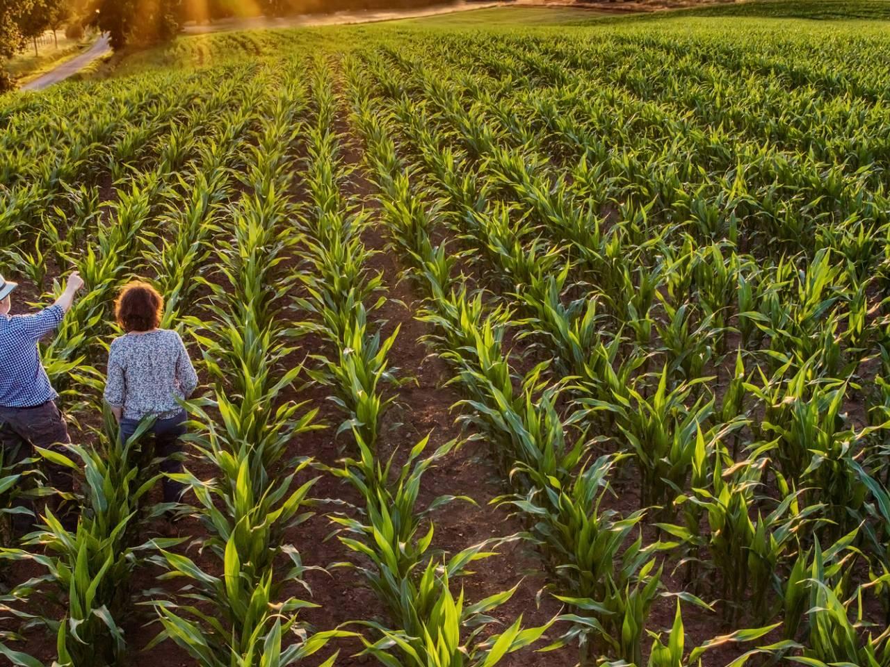 Stamicarbon Mission Vision Header