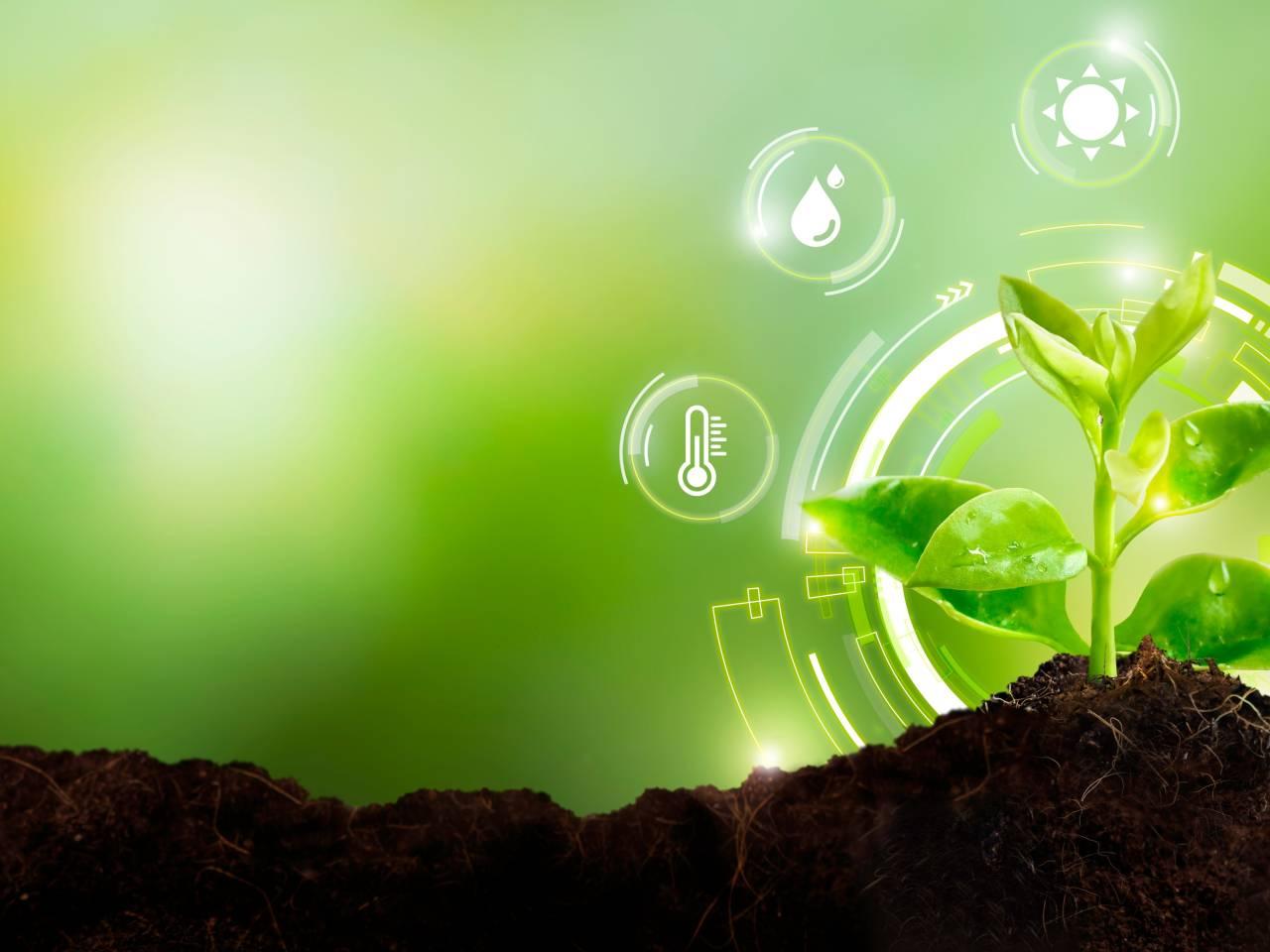 Controlled-release fertilizer