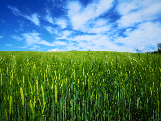 Sustainable fertilizers